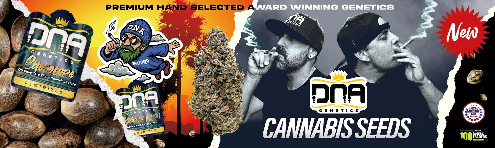 DNA Genetics Seeds